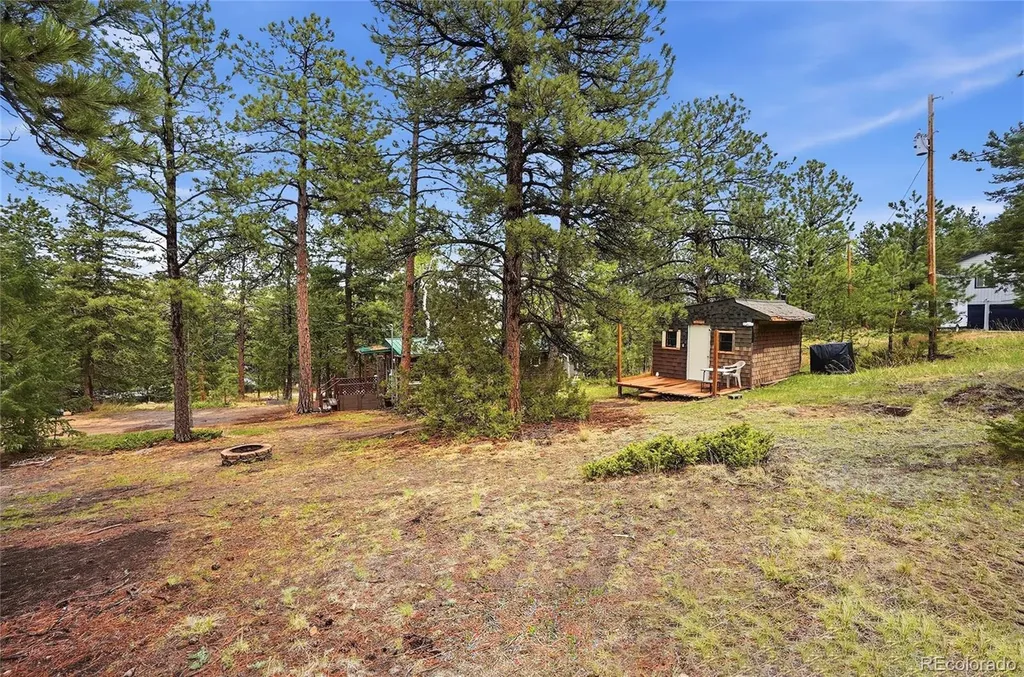 14032 S Olive Avenue Pine CO 80470