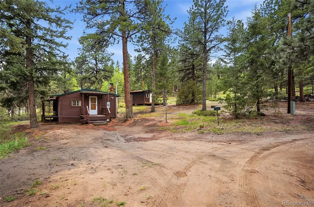 14032 S Olive Avenue Pine CO 80470
