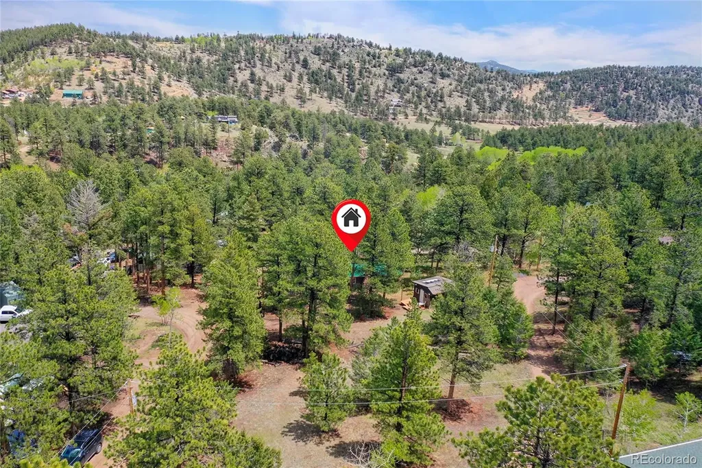14032 S Olive Avenue Pine CO 80470