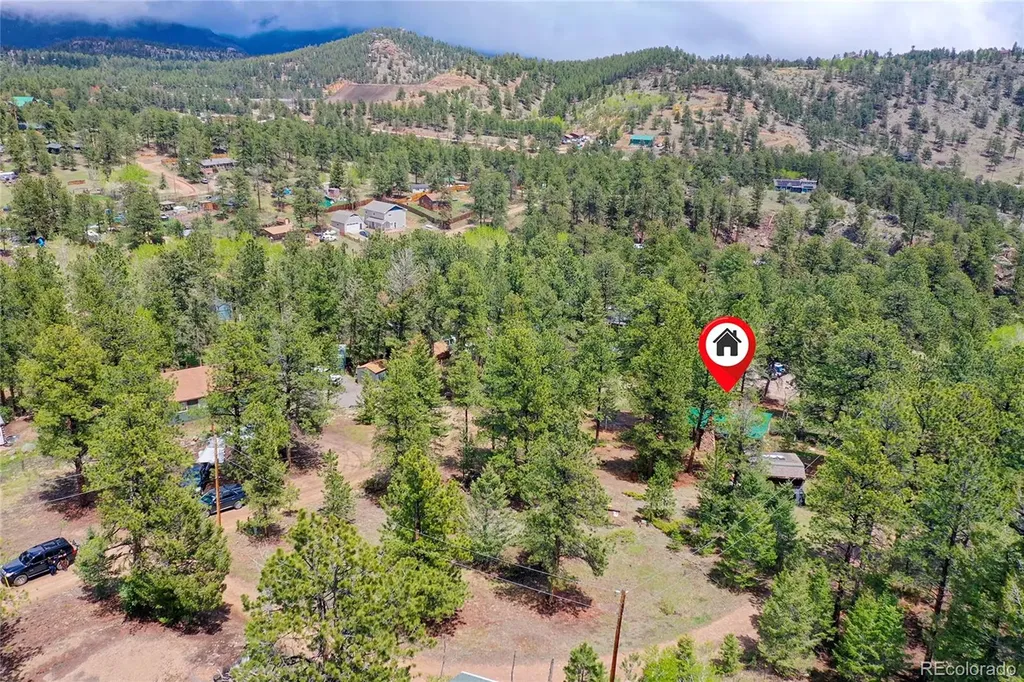 14032 S Olive Avenue Pine CO 80470