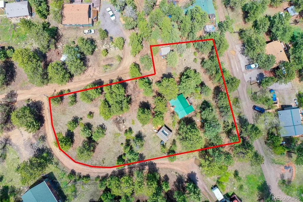 14032 S Olive Avenue Pine CO 80470