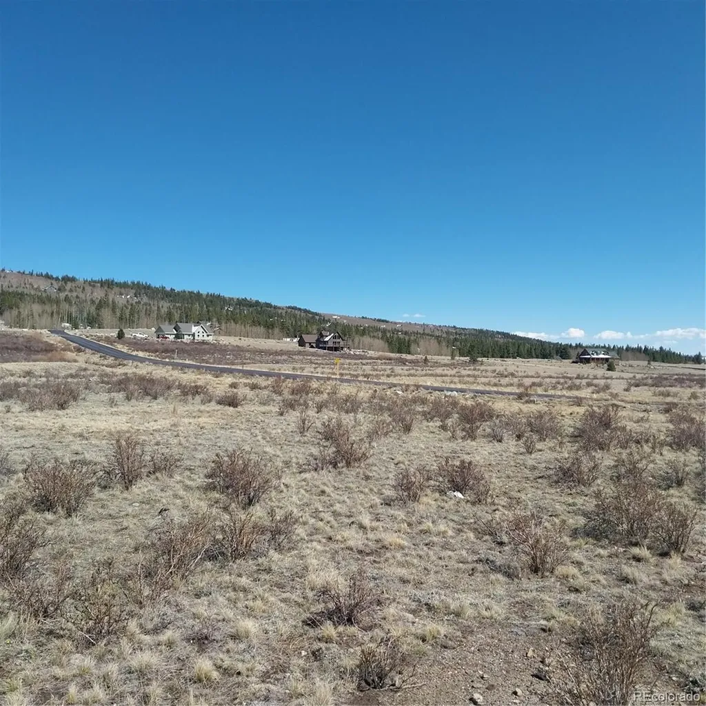 64 Glissade Trail Alma CO 80420