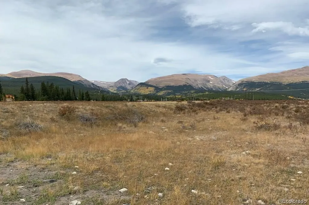 64 Glissade Trail Alma CO 80420