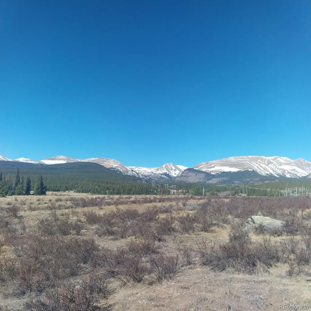 64 Glissade Trail Alma CO 80420