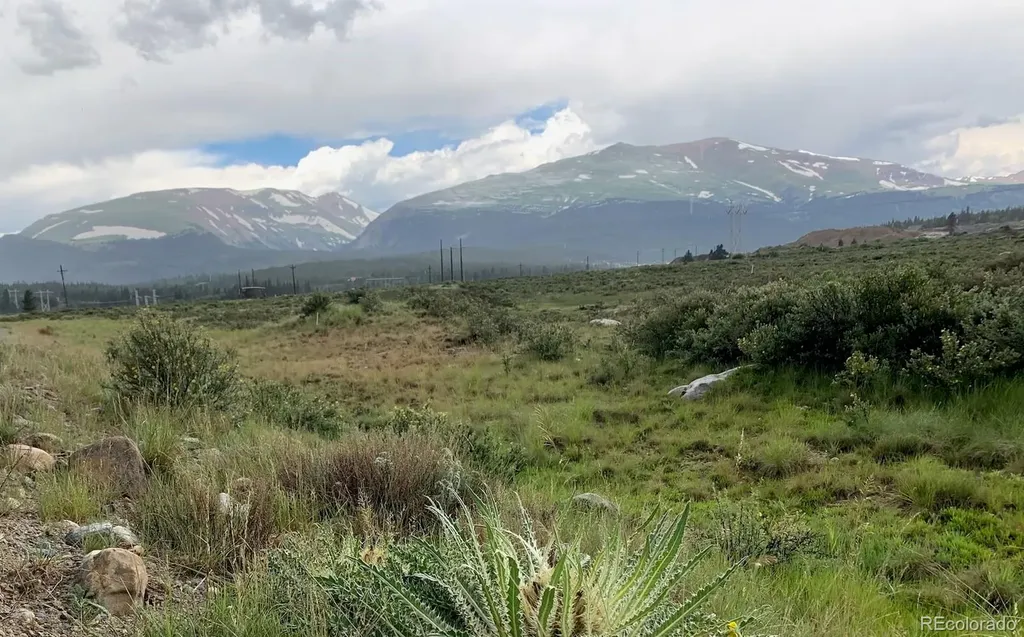 64 Glissade Trail Alma CO 80420