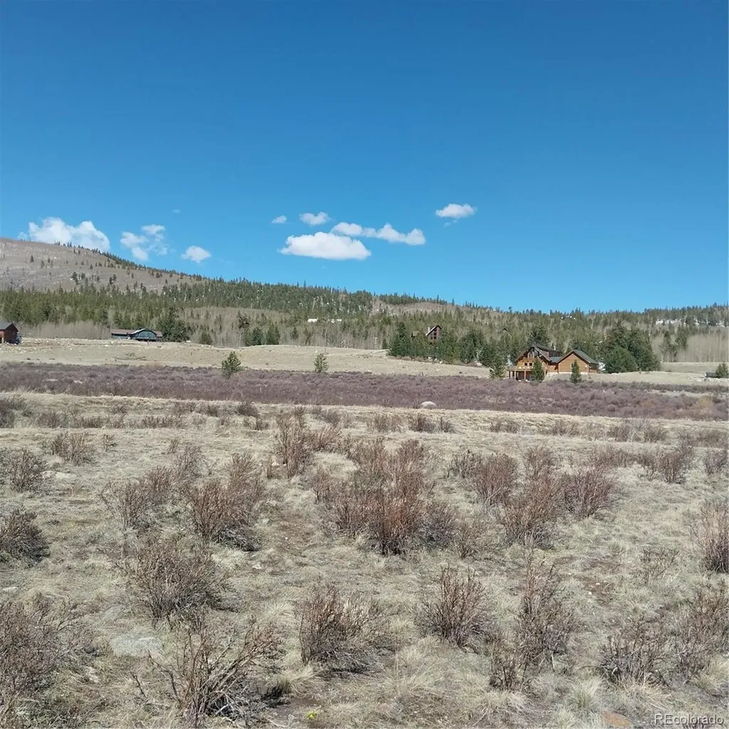 64 Glissade Trail Alma CO 80420