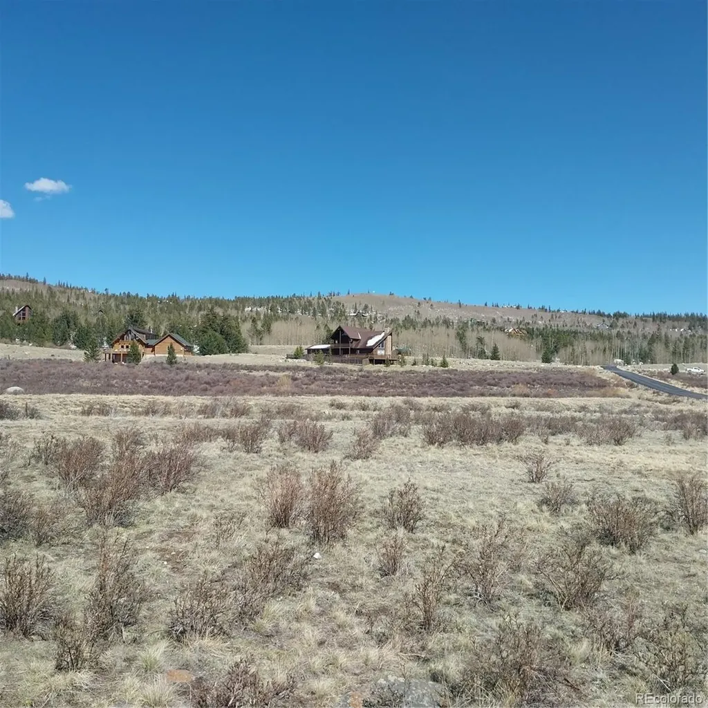 64 Glissade Trail Alma CO 80420