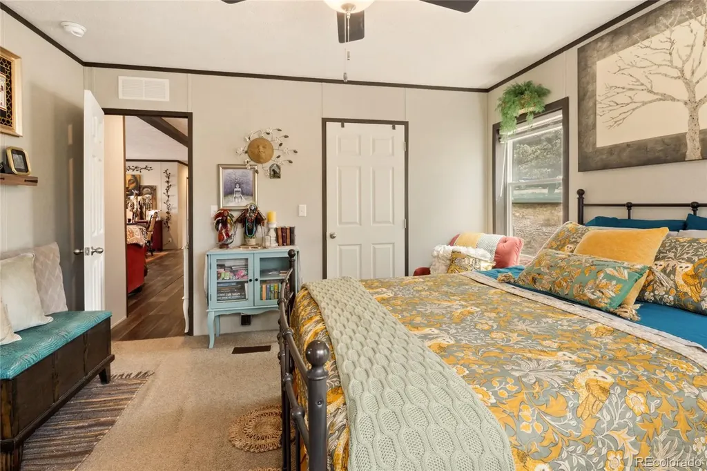 4247 Serene Way Crestone CO 81131