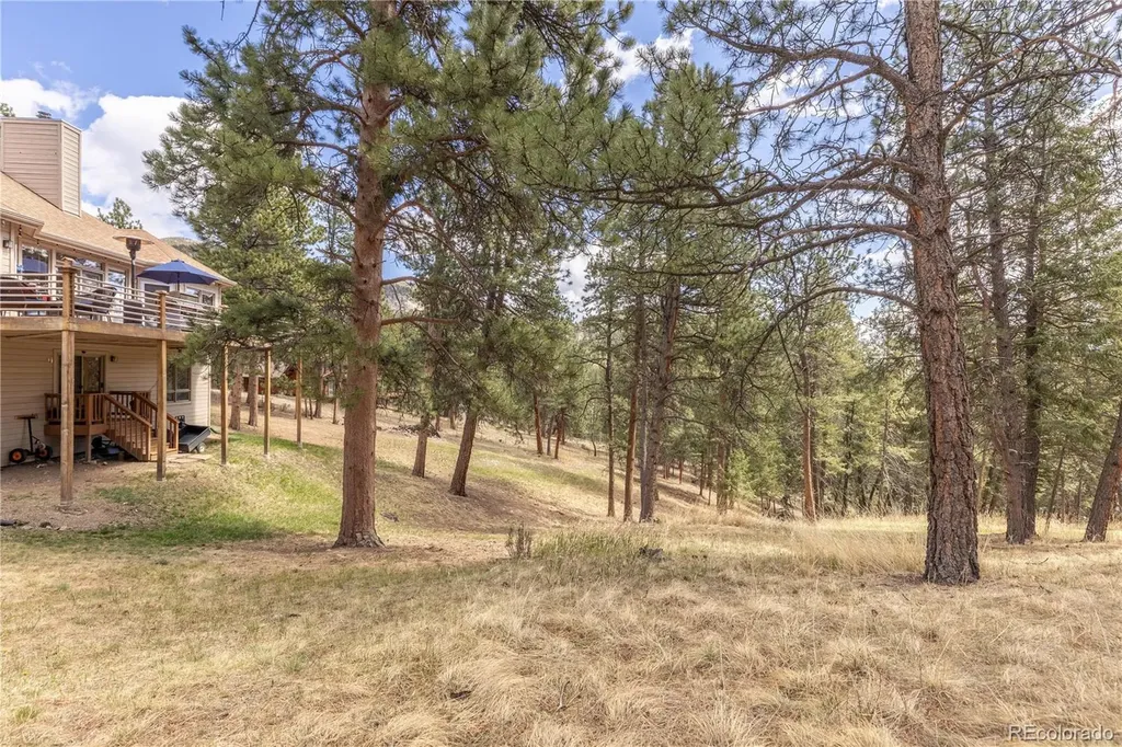302 Cottonwood Drive Evergreen CO 80439