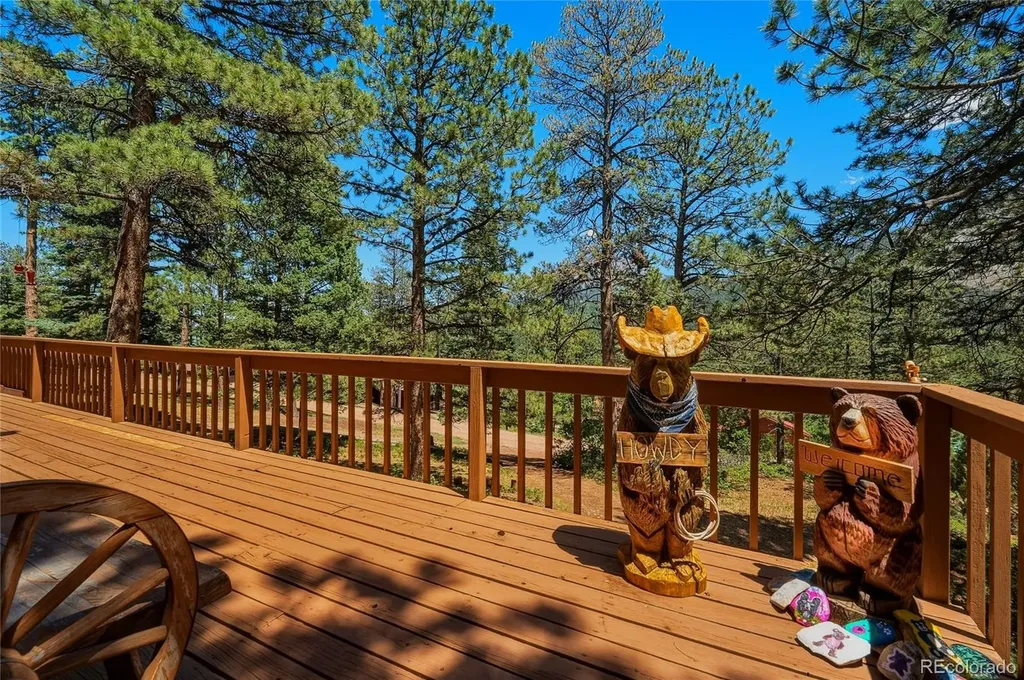 146 County Road 407 La Veta CO 81055