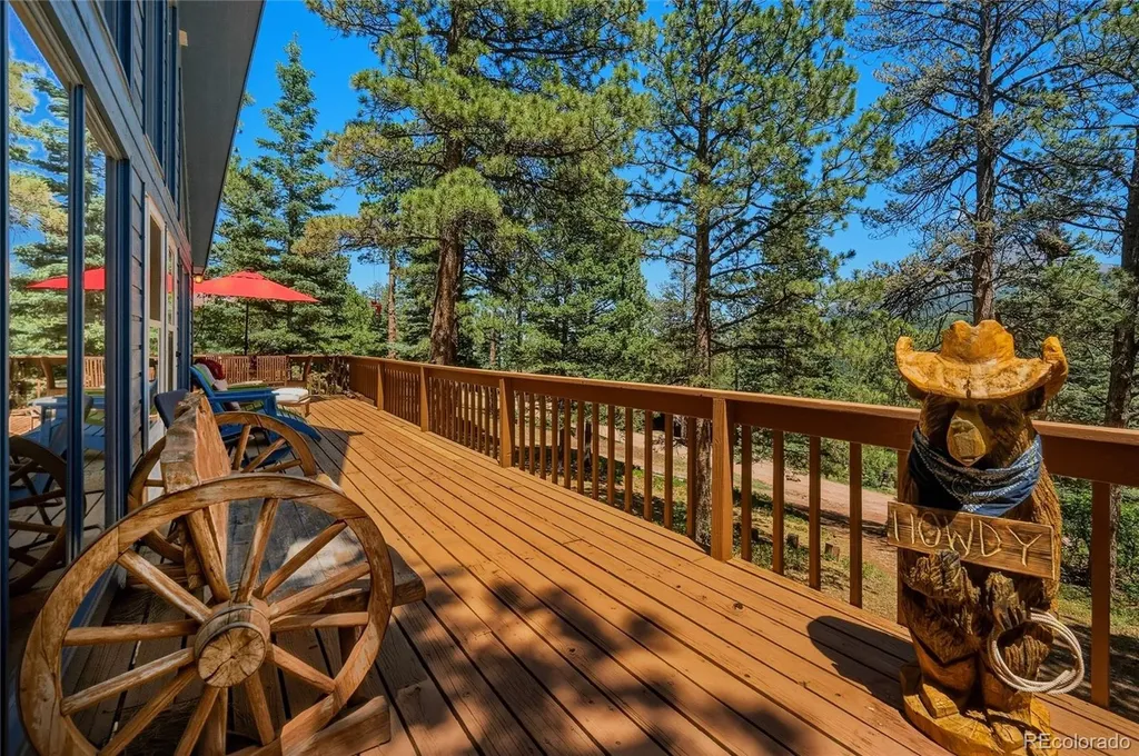 146 County Road 407 La Veta CO 81055