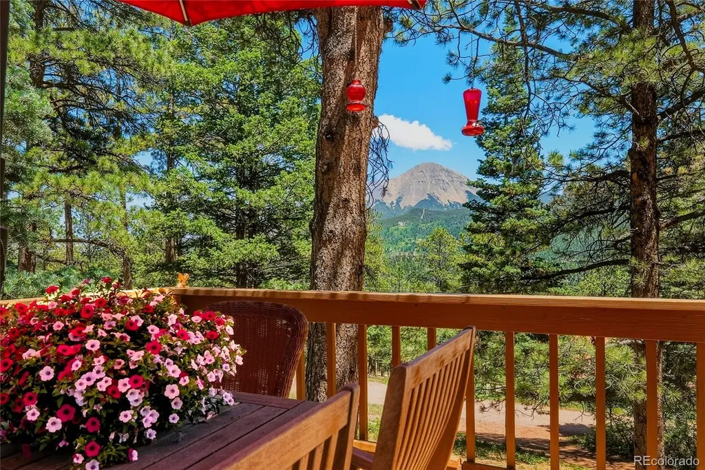 146 County Road 407 La Veta CO 81055