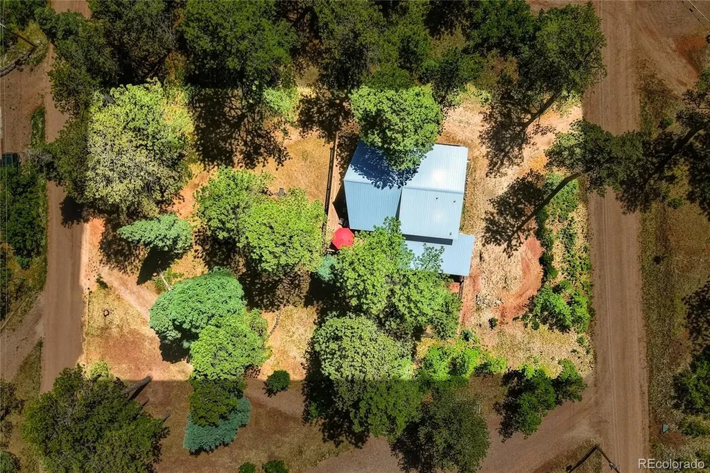 146 County Road 407 La Veta CO 81055