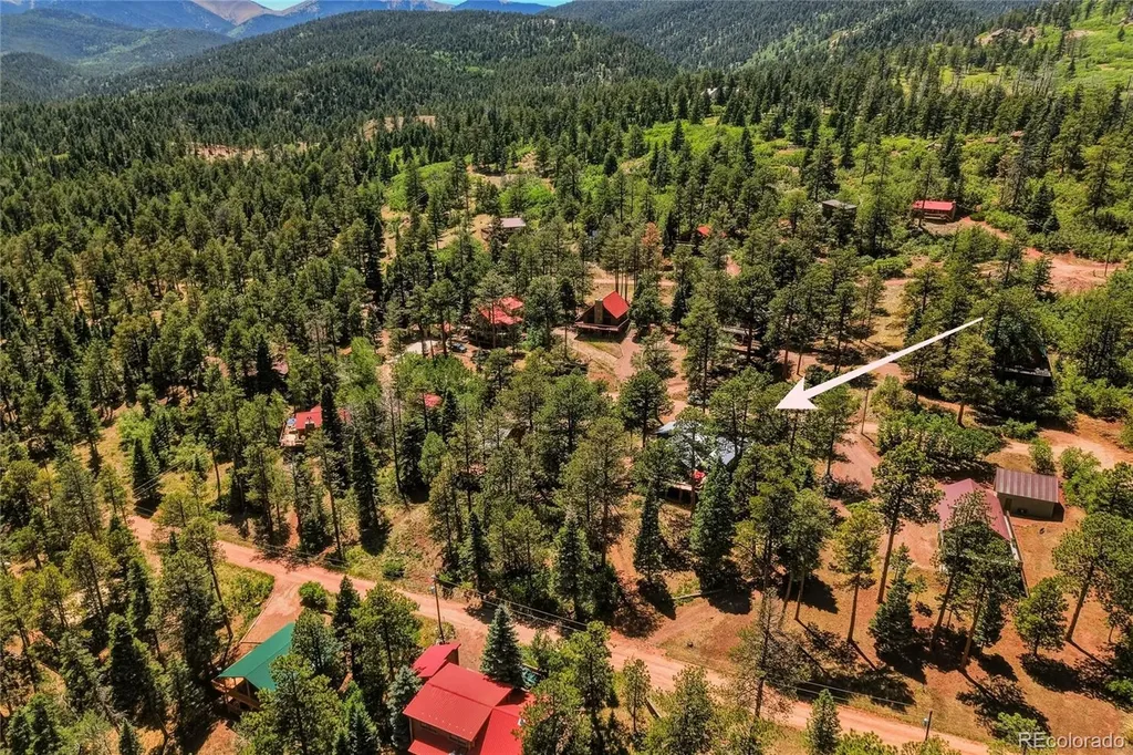 146 County Road 407 La Veta CO 81055