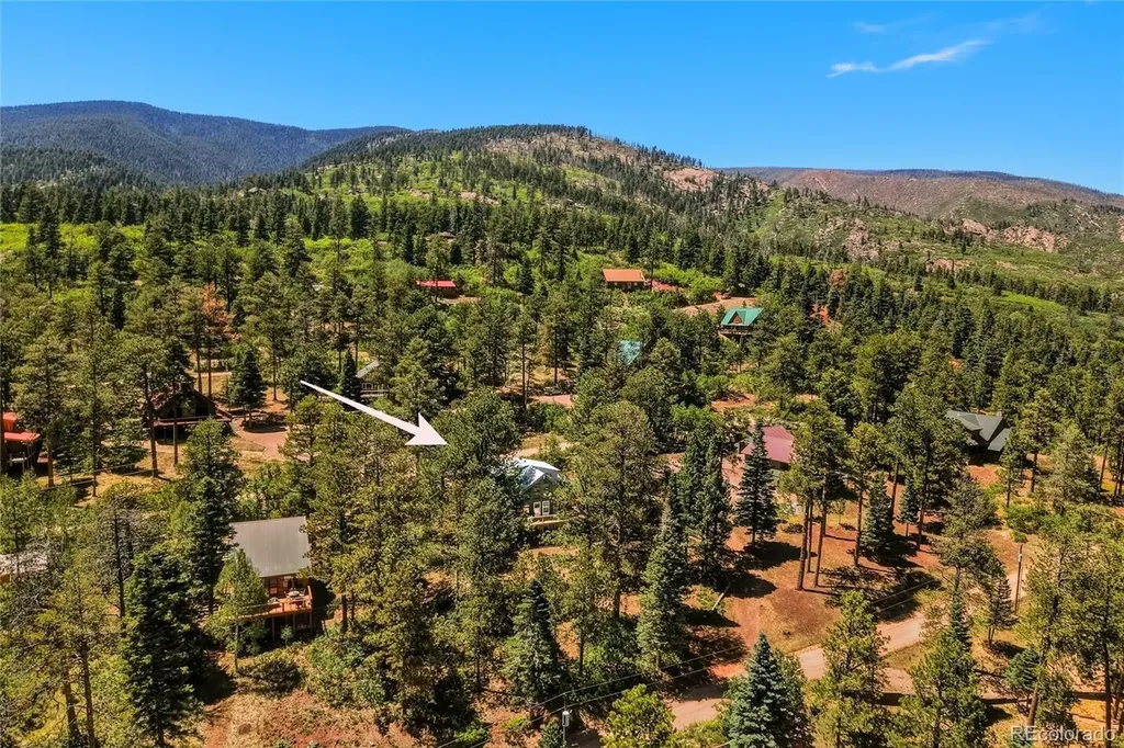 146 County Road 407 La Veta CO 81055
