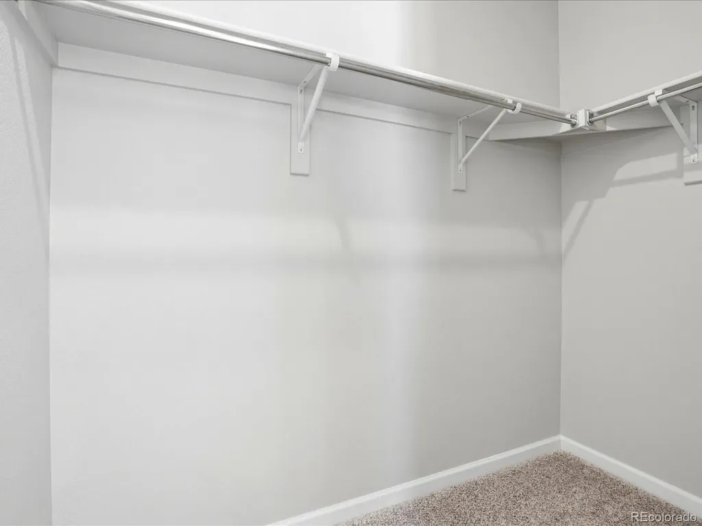 463 Millwall Circle Castle Pines CO 80108