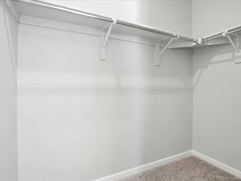463 Millwall Circle Castle Pines CO 80108