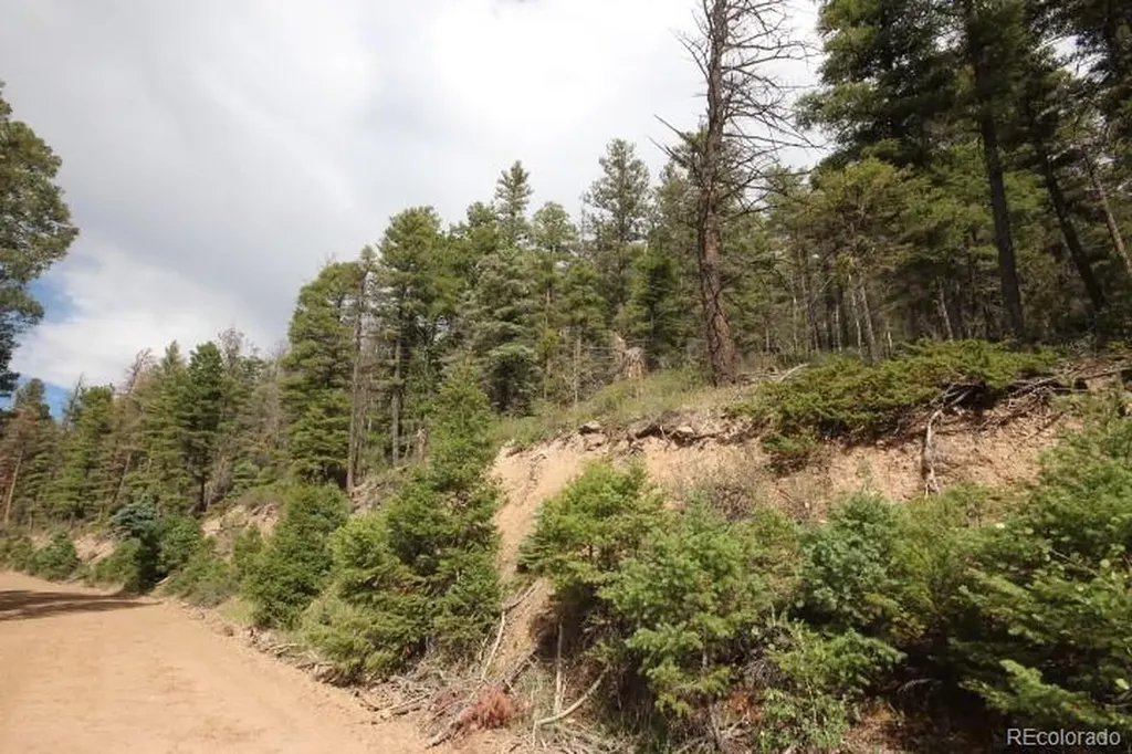 Lot 6078 Vreeland Road San Luis CO 81152