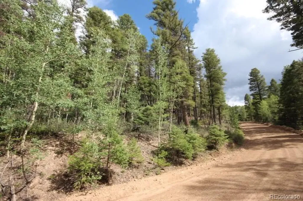 Lot 6078 Vreeland Road San Luis CO 81152
