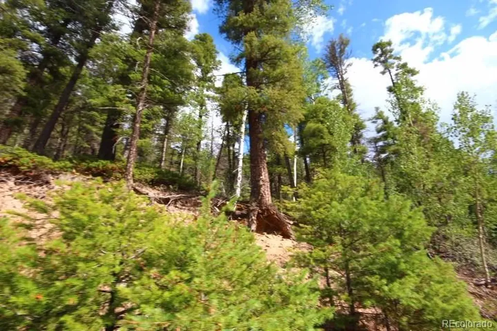 Lot 6078 Vreeland Road San Luis CO 81152