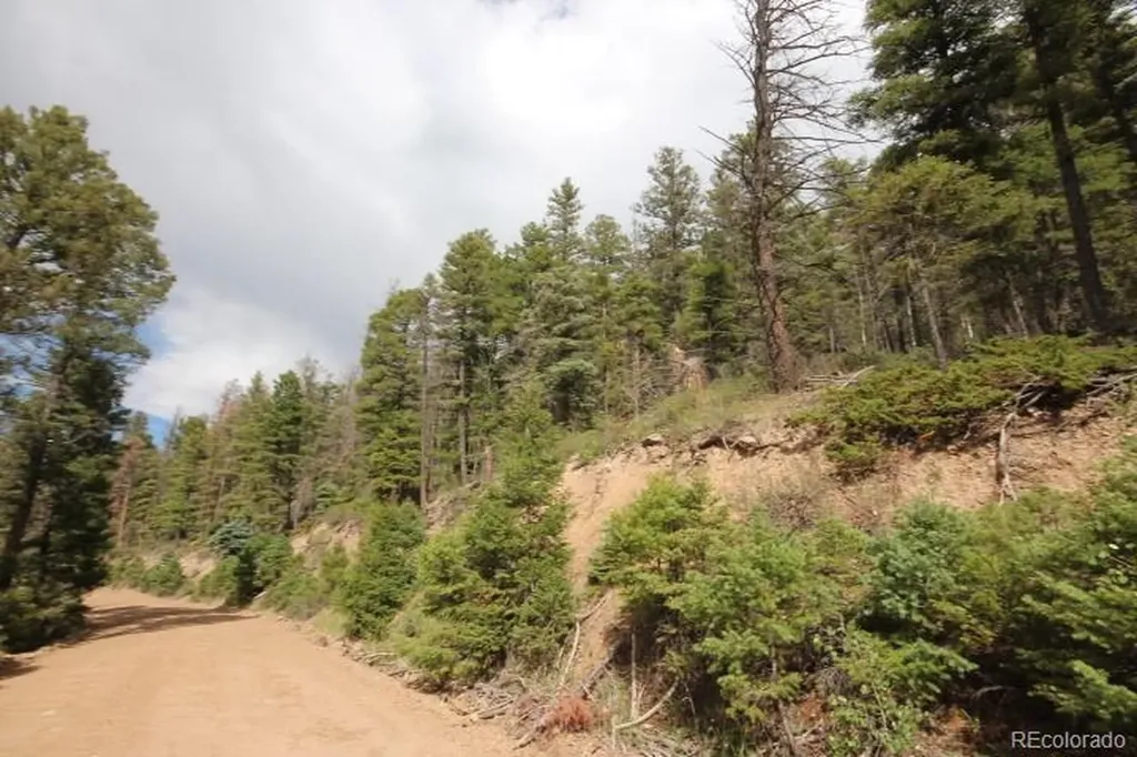 Lot 6078 Vreeland Road San Luis CO 81152