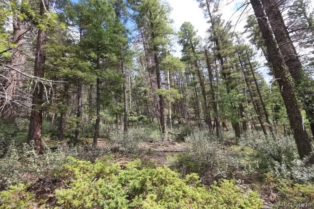 Lot 6078 Vreeland Road San Luis CO 81152