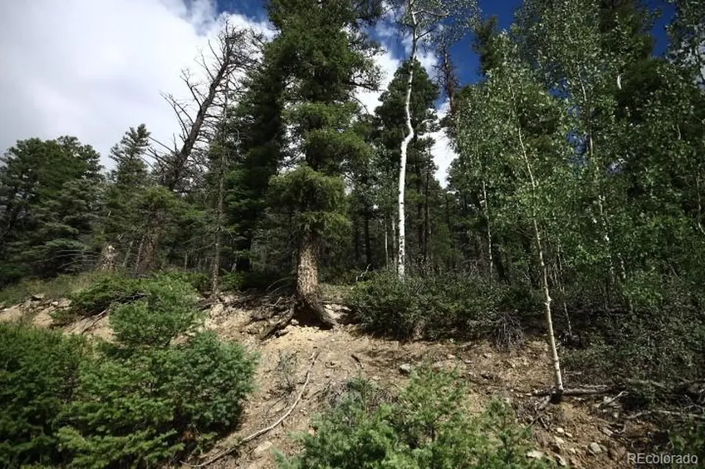 Lot 6078 Vreeland Road San Luis CO 81152