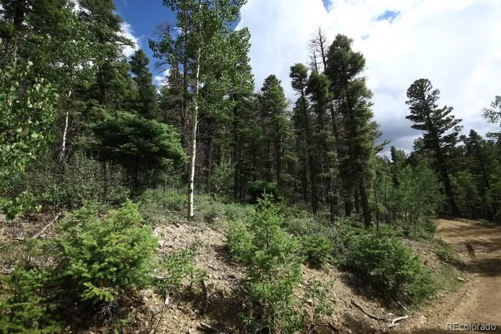 Lot 6078 Vreeland Road San Luis CO 81152