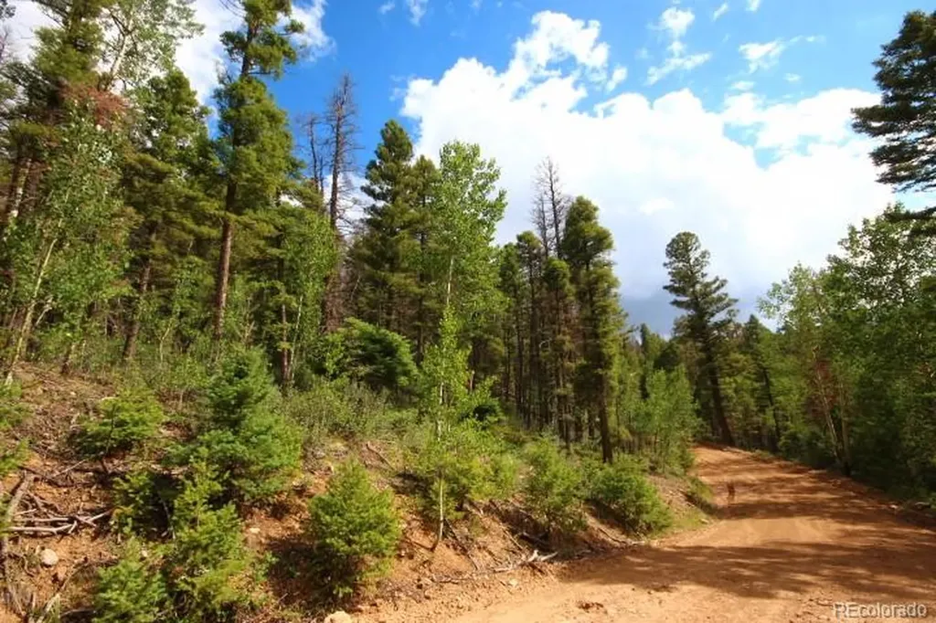 Lot 6078 Vreeland Road San Luis CO 81152
