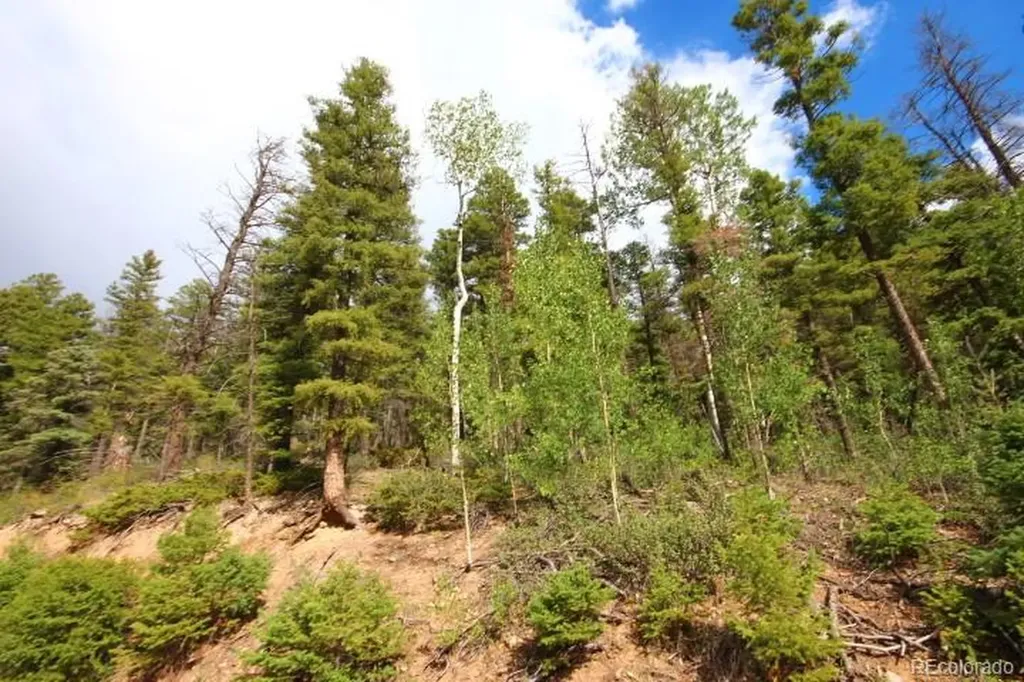 Lot 6078 Vreeland Road San Luis CO 81152