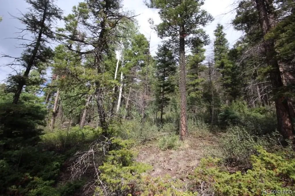 Lot 6078 Vreeland Road San Luis CO 81152