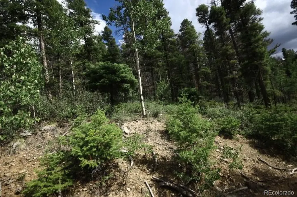 Lot 6078 Vreeland Road San Luis CO 81152