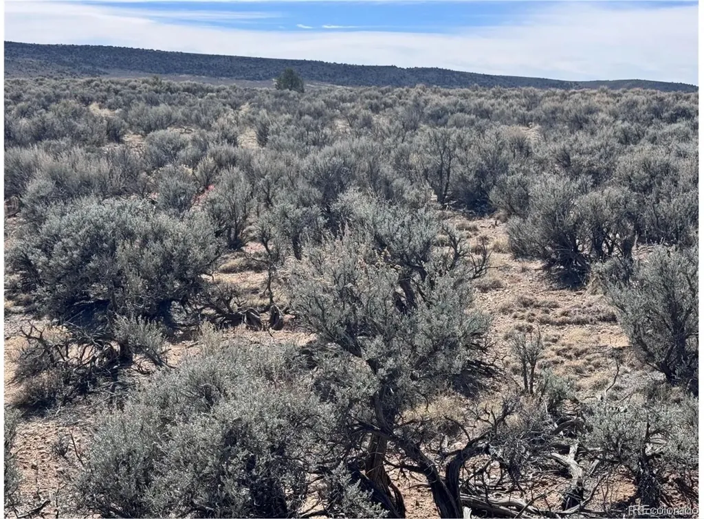 Highway 159 San Luis CO 81152