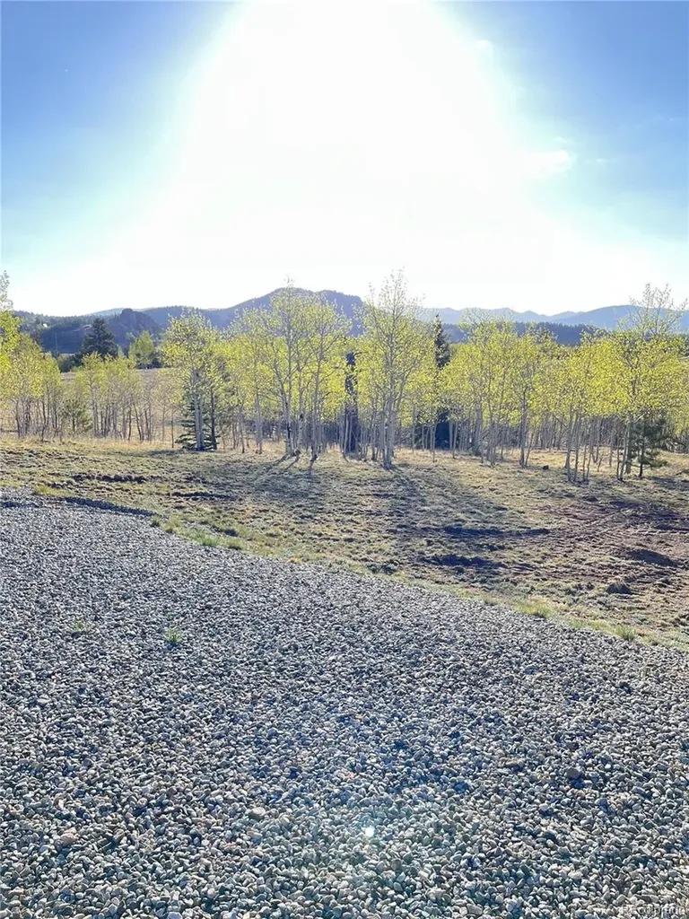 12 Loon Lane Como CO 80432