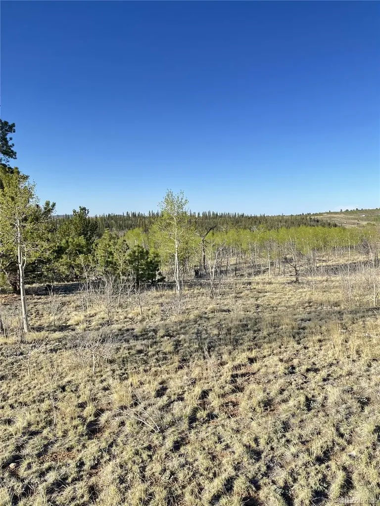 12 Loon Lane Como CO 80432