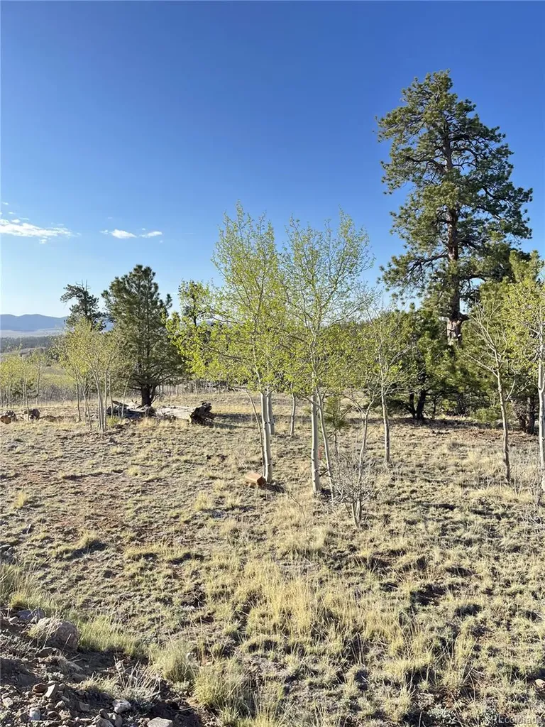 12 Loon Lane Como CO 80432
