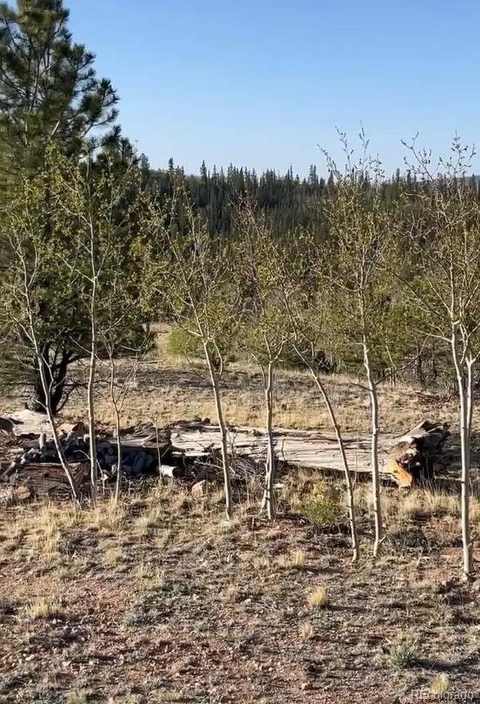 12 Loon Lane Como CO 80432