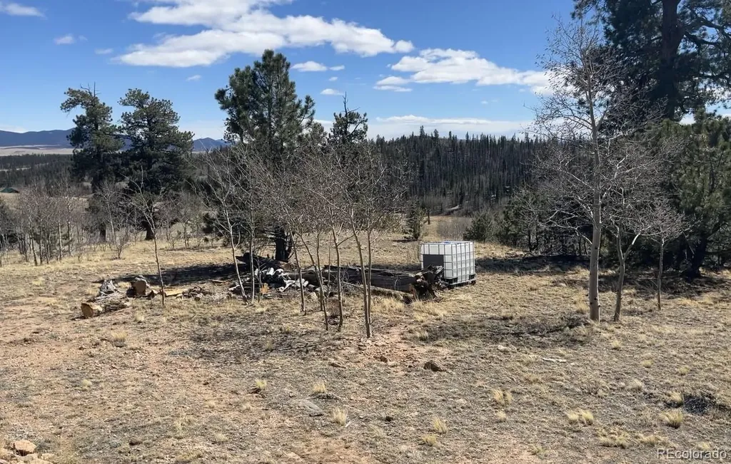 12 Loon Lane Como CO 80432