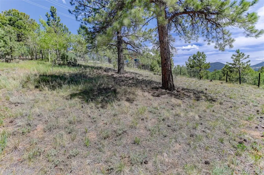 606 Clark Road Bailey CO 80421