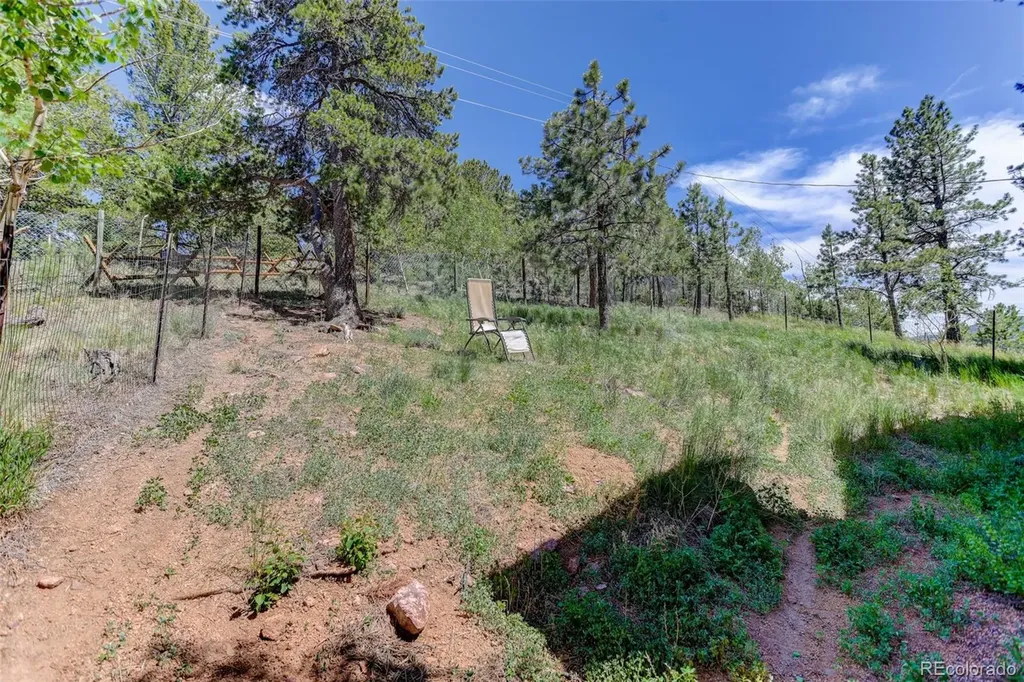 606 Clark Road Bailey CO 80421