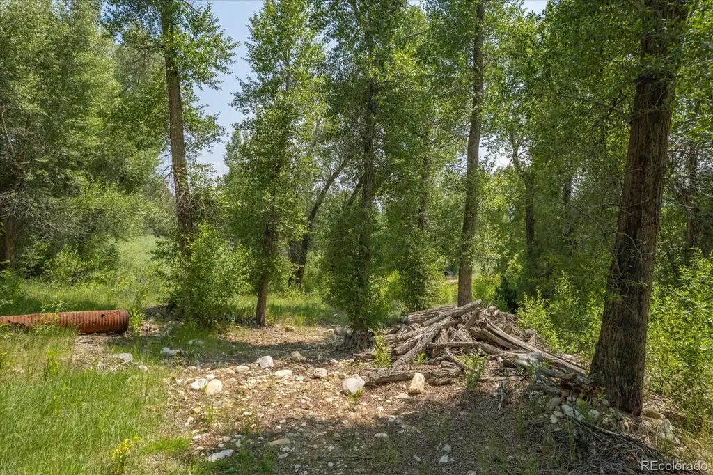 7920 Cozart Lane Salida CO 81201