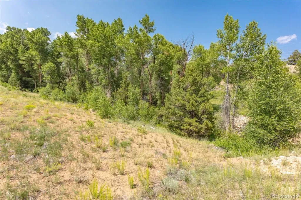 7920 Cozart Lane Salida CO 81201