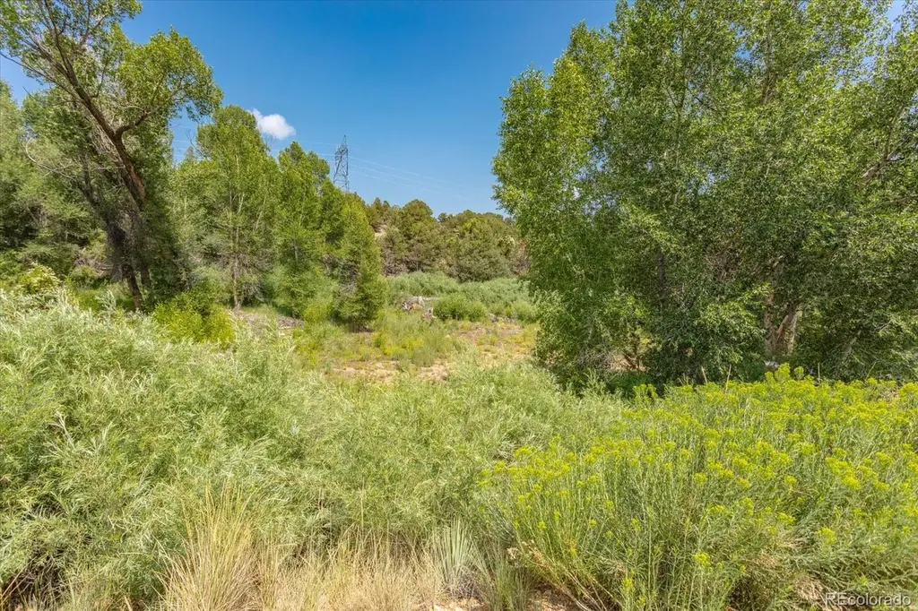 7920 Cozart Lane Salida CO 81201
