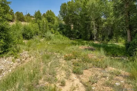 7920 Cozart Lane Salida CO 81201