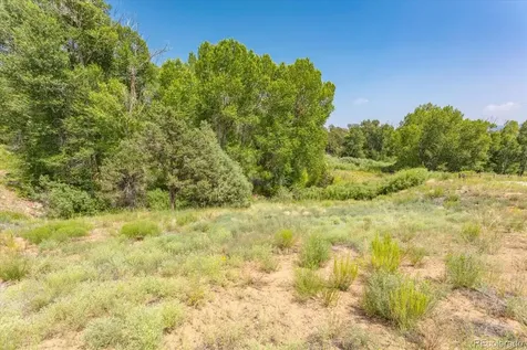 7920 Cozart Lane Salida CO 81201