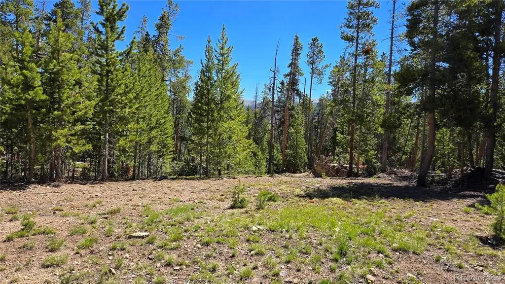 000 Summit Gulch Road Breckenridge CO 80424