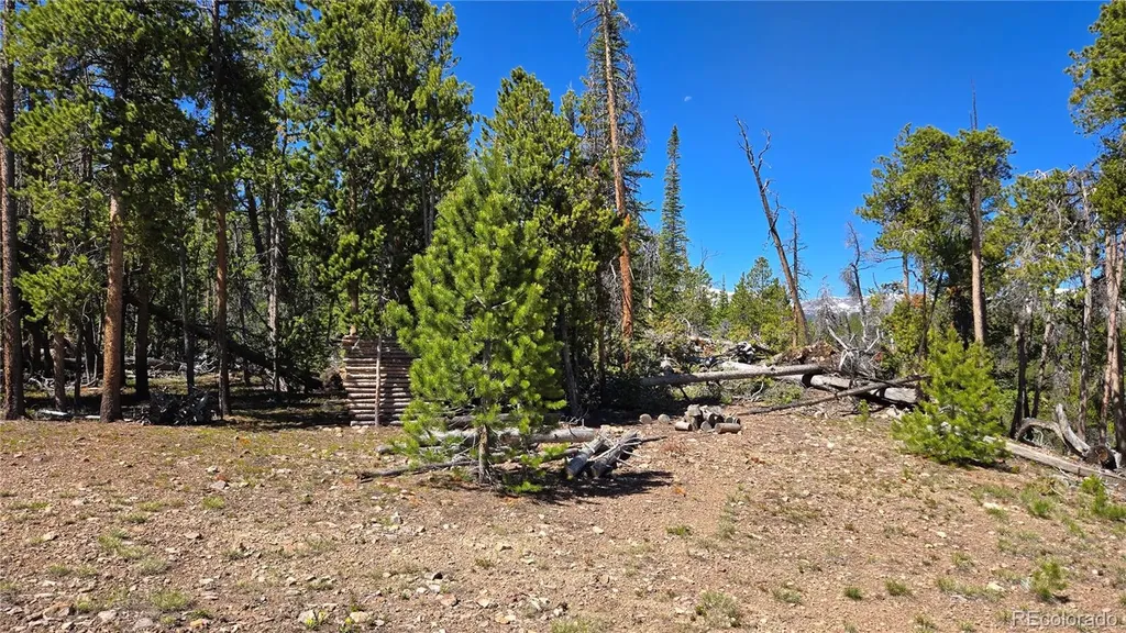 000 Summit Gulch Road Breckenridge CO 80424