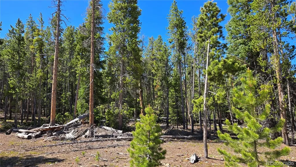 000 Summit Gulch Road Breckenridge CO 80424