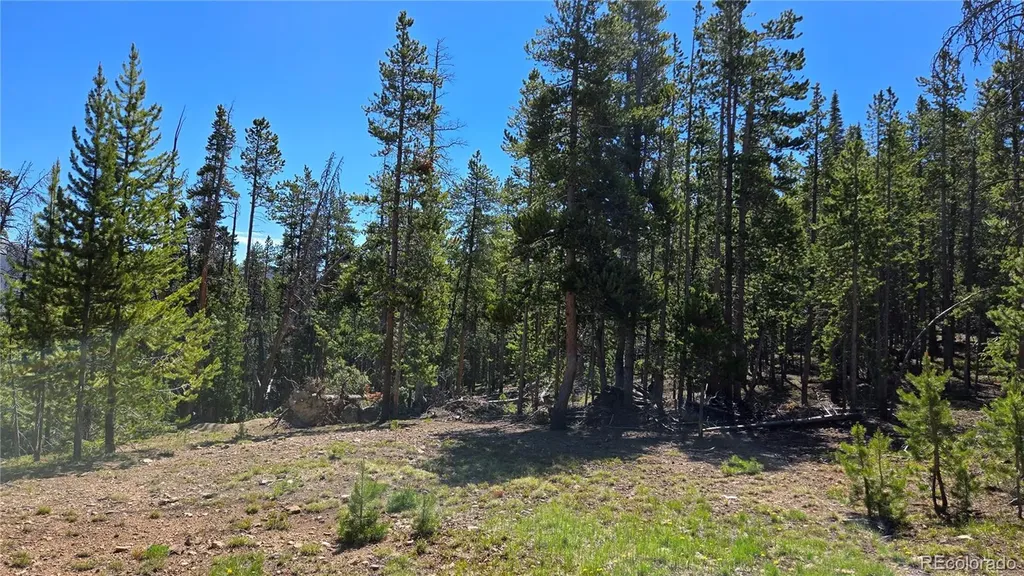 000 Summit Gulch Road Breckenridge CO 80424