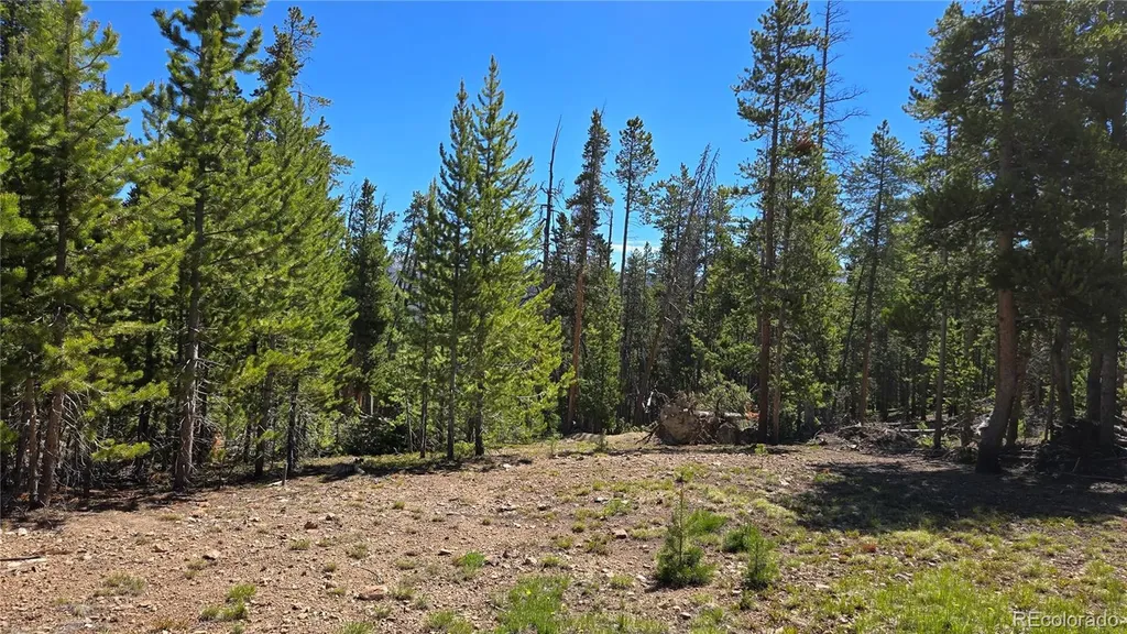 000 Summit Gulch Road Breckenridge CO 80424